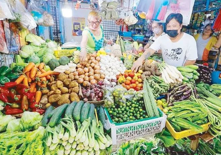 Philippines Launches Crackdown on Illegal Farm Inputs to Protect Farmers and Food Production