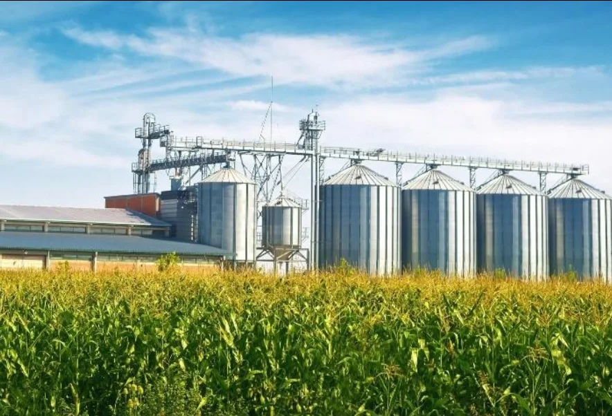 Brazil Forecasts Record Grain Harvest as 2026 Production Reaches Historic High