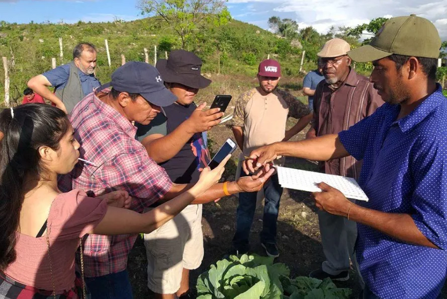 Belize Strengthens Climate-Smart Farming Through Major FAO Training Programme