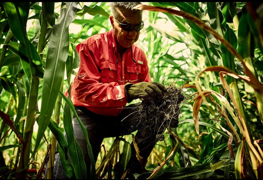 Syngenta Partners With Groundwork BioAg to Boost Soil Health Through Biological Farming