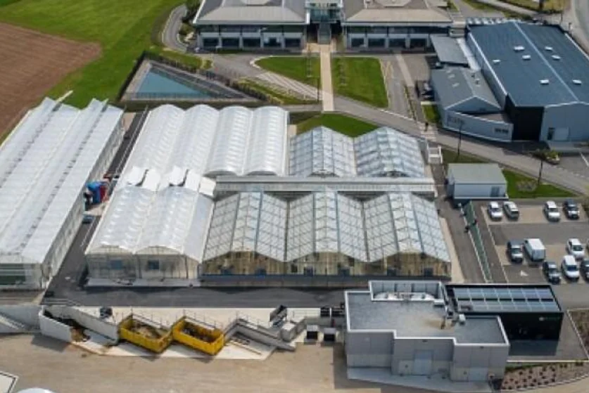 Bayer and RAGT Expand Hybrid Wheat Partnership to Boost Global Food Security