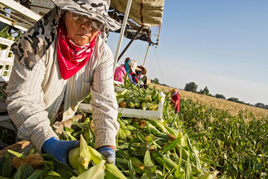 United States Expands 'Product of USA' Label Program to Strengthen Domestic Agriculture